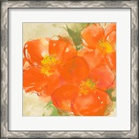 Framed 'Tangerine Poppies II' border=