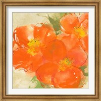 Framed 'Tangerine Poppies II' border=