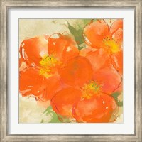 Framed 'Tangerine Poppies II' border=