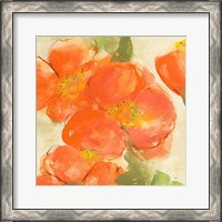 Framed 'Tangerine Poppies I' border=