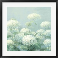 Framed White Hydrangea Garden Sage Crop