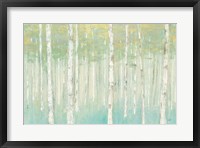 Framed Birches at Sunrise