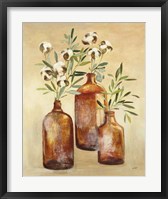 Cotton Still Life III Framed Print