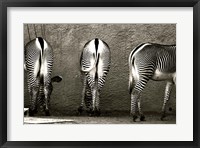 Framed Zebra Butts