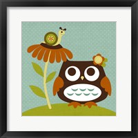 Framed Owl Looking at Snail