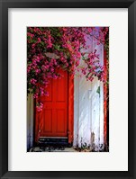 Framed Red Door