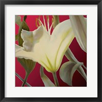 Framed Lily Red