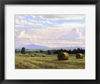 Framed Fresh Cut Hay