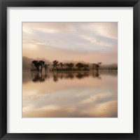 Framed Dawn Mist on the Amazon
