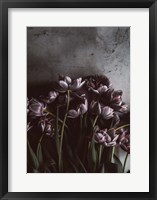 Framed Dark Tulips