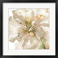 Framed 'Neutral Watercolor Poppy Close Up II' border=