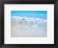 Framed Sorrento Gulls