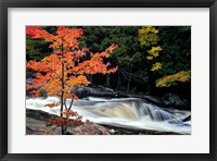 Framed Autumn, Lower Rosseau Falls