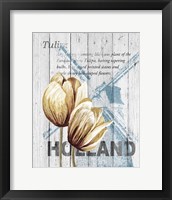 Framed Holland Tulips