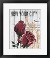 New York Roses Framed Print