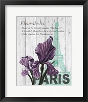 Paris Iris Framed Print