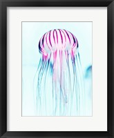 Framed Jelly Fish