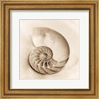 Framed 'Il Oceano No. 4' border=