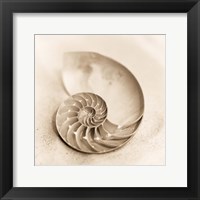 Framed 'Il Oceano No. 4' border=