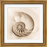 Framed 'Il Oceano No. 4' border=