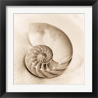 Framed 'Il Oceano No. 4' border=