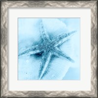 Framed 'Nautica No1' border=