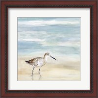 Framed 'Speckled Willet I' border=