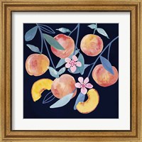 Framed 'Fresh Fruit IV' border=