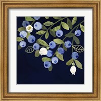 Framed 'Fresh Fruit VI' border=