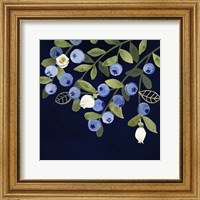 Framed 'Fresh Fruit VI' border=