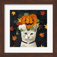 Framed 'Halloween Cat I' border=