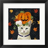 Framed Halloween Cat I