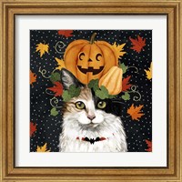 Framed 'Halloween Cat II' border=