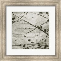 Framed 'Laced Sky IV' border=