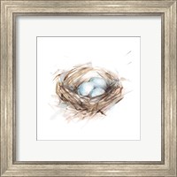 Framed 'Bird Life III' border=