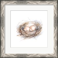 Framed 'Bird Life IV' border=