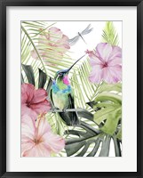 Hibiscus & Hummingbird II Framed Print