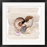 Framed 'Ocean Keepsake I' border=