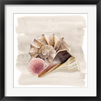 Framed 'Ocean Keepsake II' border=