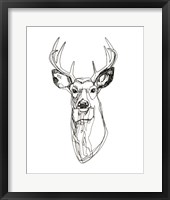 Framed Whitetail Wireframe II