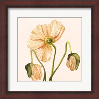 Framed 'Highpoint Poppies I' border=