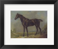 Framed Golding Constable's Black Riding-Horse