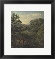 Framed Valley Scene with Trees