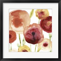 Poppy Patch II Framed Print