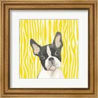 Framed 'Parlor Pooches VIII' border=