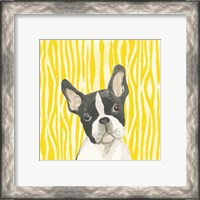 Framed 'Parlor Pooches VIII' border=