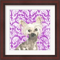 Framed 'Parlor Pooches IX' border=