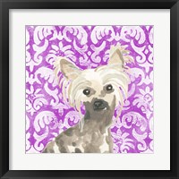 Framed 'Parlor Pooches IX' border=