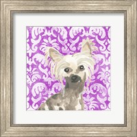 Framed 'Parlor Pooches IX' border=