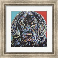 Framed 'Canine Buddy I' border=